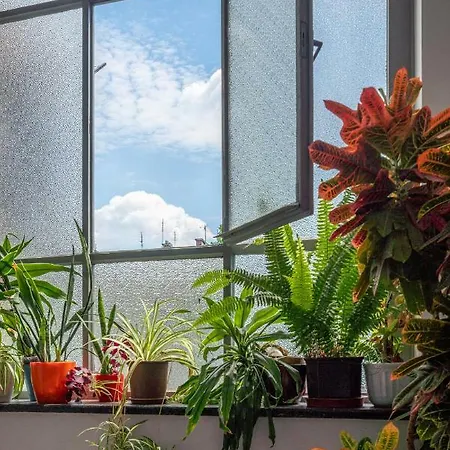 Atmosphere Studio At Main Square By Apart Service Apartament